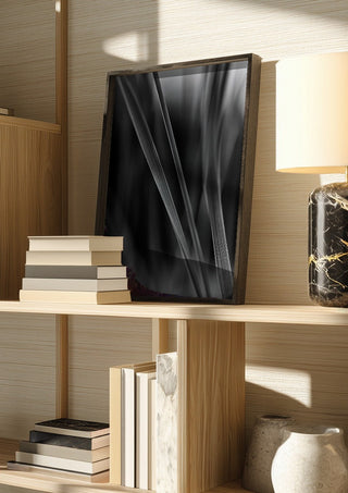 Diagonale Halme by Guido Lucker in a dark frame on a wooden shelf beside books and a lamp