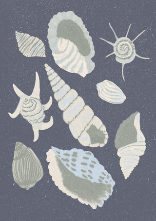 Simpukkakokoelma – Aliya Putrus