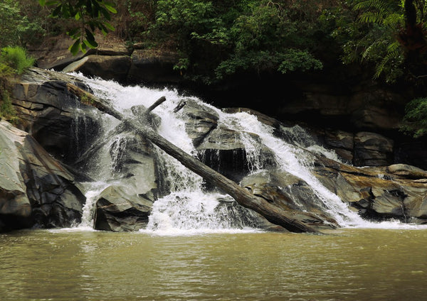 Doi Inthanon by Elefteria - a waterfall over dark rocks in the jungle outside Chiang Mai