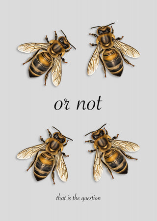 Four bees around the words "or not" and "that is the question" on the cover of To Bee Or Not by Andreas Magnusson.