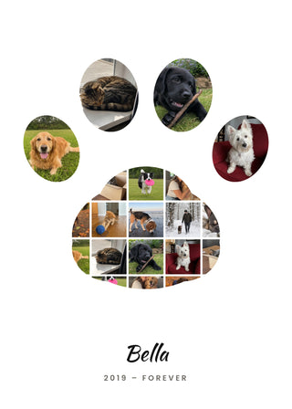 Shape Collage personalised poster – a paw print made of 20 dog and cat photos with the pet's name, on white
