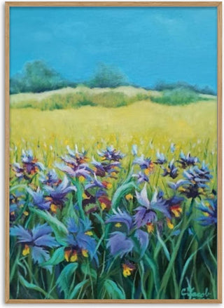Iris Meadow - Cristina Iacob