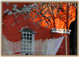 Lace and Blossom, Christiania - Helene Høie