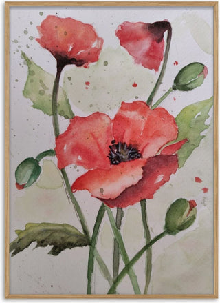 Red Poppies - RenataK