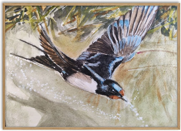 Swallow Over Water by RenataK - a swallow dipping to the water among reeds in watercolour