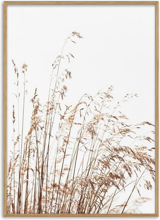 Abstract Reeds No. 2 Poster