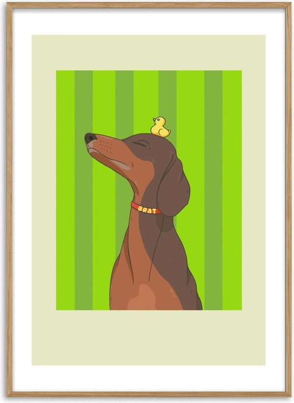 Certified Brat by Jakob Falkenberg - brown dachshund with a rubber duck on its head against green stripes