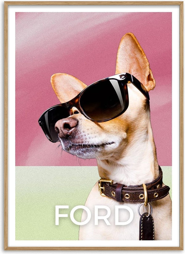 A stylish dog wearing sunglasses and collar against a pink and green backdrop with the word "FORD" below.