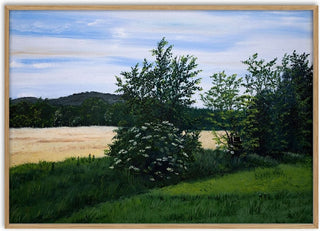 Elderflower - Juergen Duerrmann