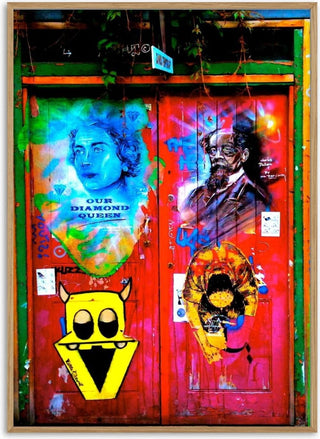 Graffiti Door - Pelecan Schneider