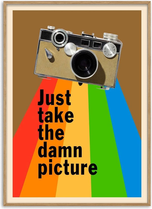 Poster with a vintage camera and rainbow beams, text reads "Just take the damn picture" on product wallchart.