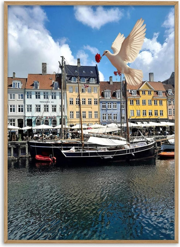 Photograph of Nyhavn in Copenhagen with coloured townhouses and a sailing ship, and a white dove carrying a red rose above the masts.